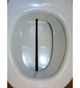 BIOLET 65 + Installationspaket Dach von Privat, Abholung in Worms